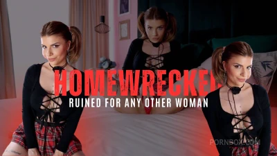 Cover for 'Homewrecked - Ruined For Any Other Woman'